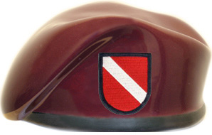 82nd Personnel Service Battalion Ceramic Beret with Flash